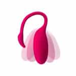 Vibrador con APP - Flavia - Imagen 2