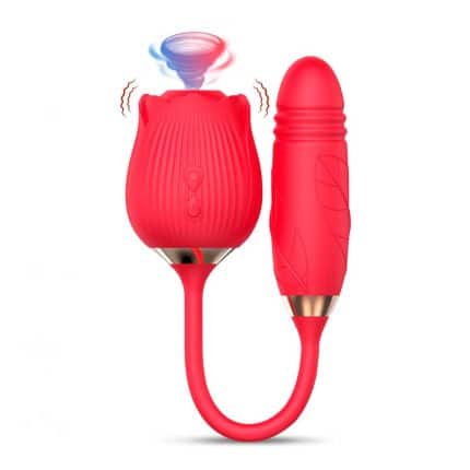 Succionador de Clítoris y Vibrador
